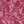 Cherry Red Graphic