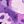 Purple Blurry Floral