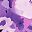 Purple Blurry Floral