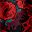 Red Watercolor Floral