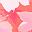 Pink Burst Lace Floral