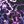 Purple Brushed Floral