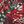 Red Green Kaleidoscope
