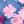 Royal Navy Floral