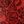 Red Floral Lace