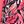 Rouge Red Foliage