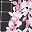 Black Geo Floral