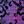 Purple Houndstooth