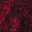 Red Lace Print