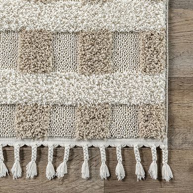 nuLOOM Cordelia Fragmented Stripes Tasseled Area Rug