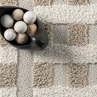nuLOOM Cordelia Fragmented Stripes Tasseled Area Rug