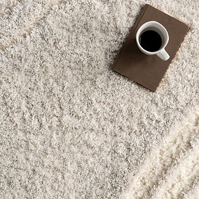 nuLOOM Gloria Abstract Shag Area Rug