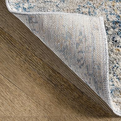 nuLOOM Diana Medallion Vintage Area Rug