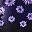 Bright Purple