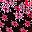 New Pink Floral