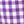 Purple Orchid Gingham