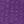 Purple Orchid
