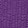 Purple Orchid