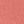 Sweet Coral