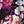 Berry Floral Overlay