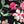 Black Floral