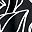 Black Lined Floral
