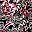Black Paisley Floral
