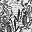 Black Toile Tropical