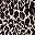 Classic Animal Neutral