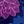 Navy Lined Floral