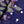 Navy Floral Dot