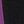 Black Plum Purple