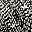 Chai Latte Texture