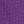 Purple Orchid
