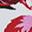 Berry Floral Overlay