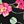 Black Floral