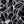 Black Lined Floral