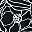 Black Lined Floral