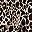 Classic Animal Neutral