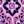 Deep Grape Medallion
