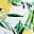 Yellow Tropical Floral