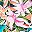 Summer Tropic