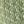 Olive Green Diamond