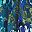 Navy Floral Print
