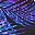 Purple Palm