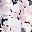 Pink Floral