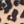 Khaki Graphic Spots
