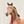 Running Horse