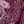 Midnight Berry Paisley