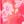 Pink Burst Lace Floral
